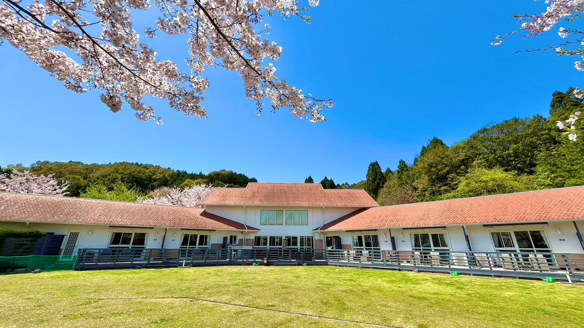 【テラスガーデン】春