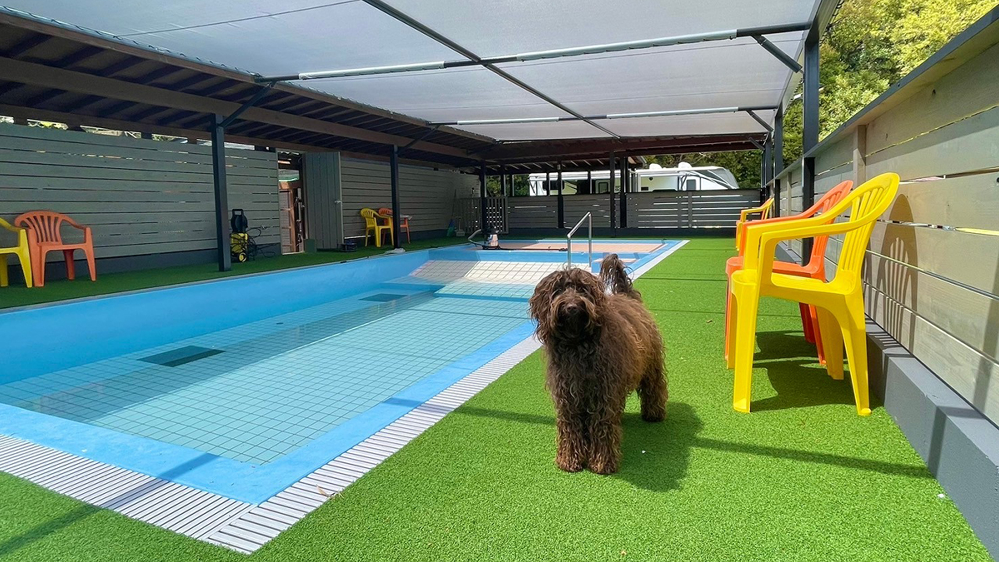 【ドッグプール】