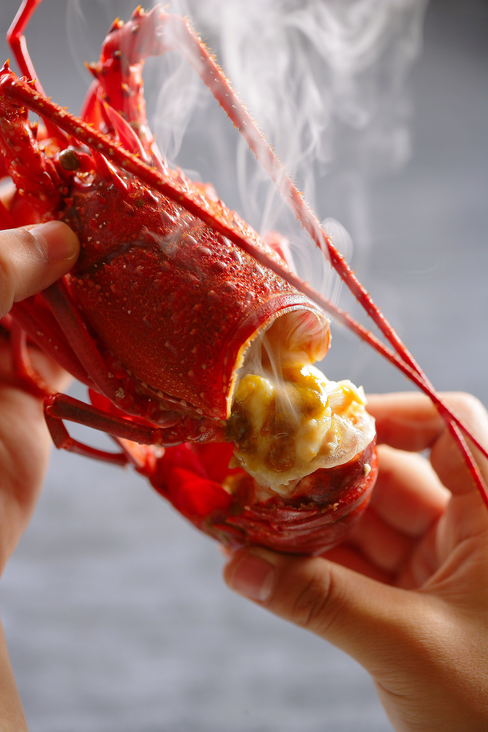 美食家の休日プラン【スタンダードプラン】