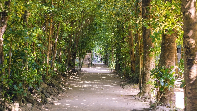 【春季連泊セール】長期滞在も快適に！お部屋で洗濯から自炊まで、暮らすように楽しむ（素泊まり）