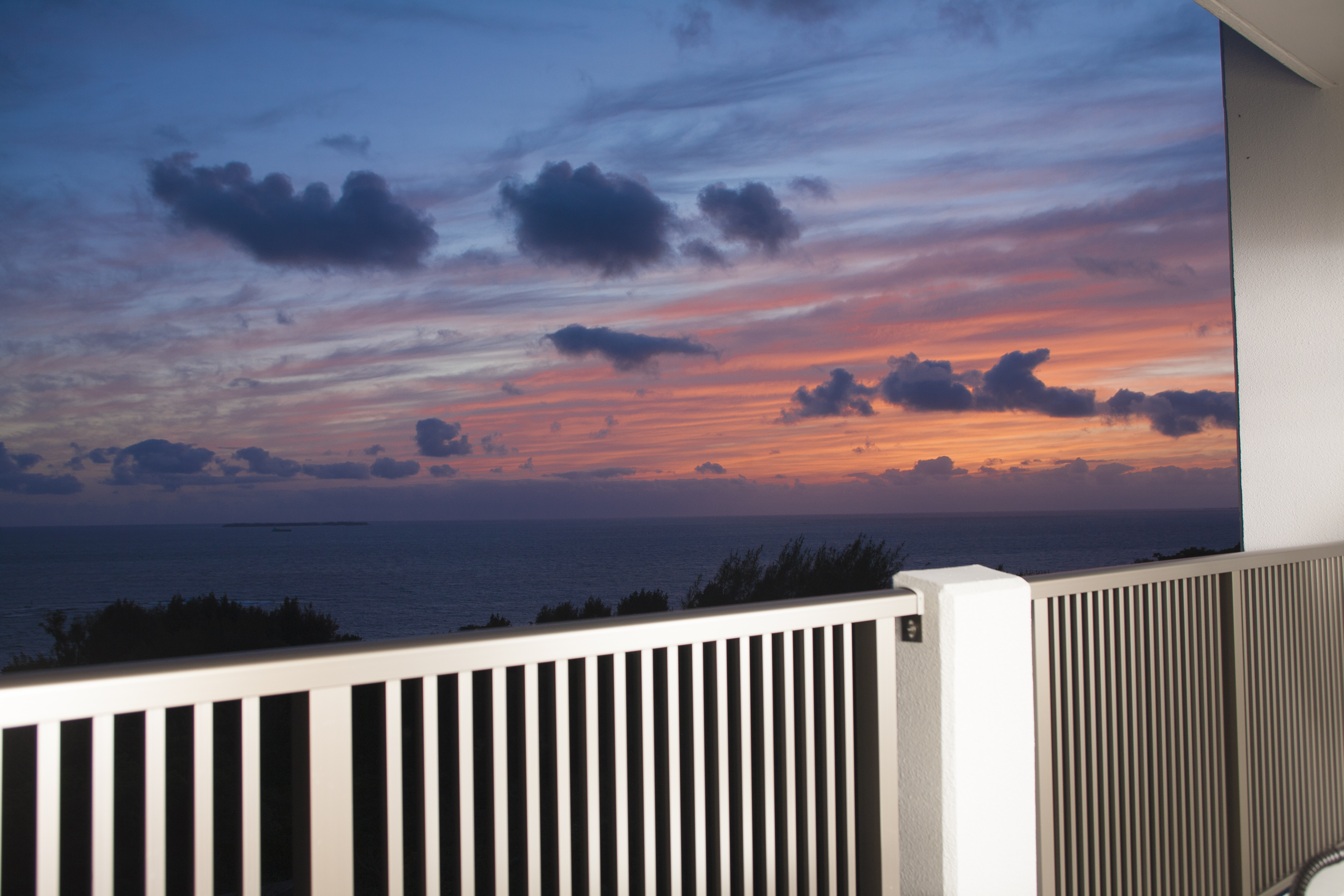 上階からの景色