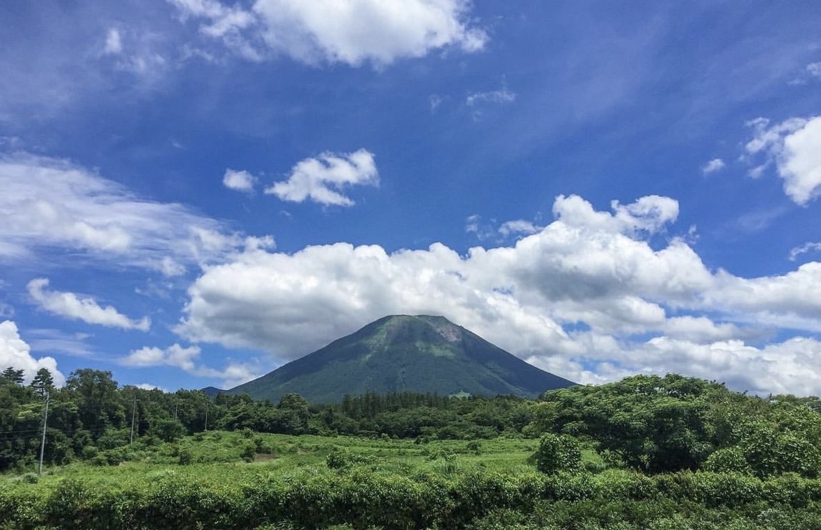 シンプル素泊りプラン