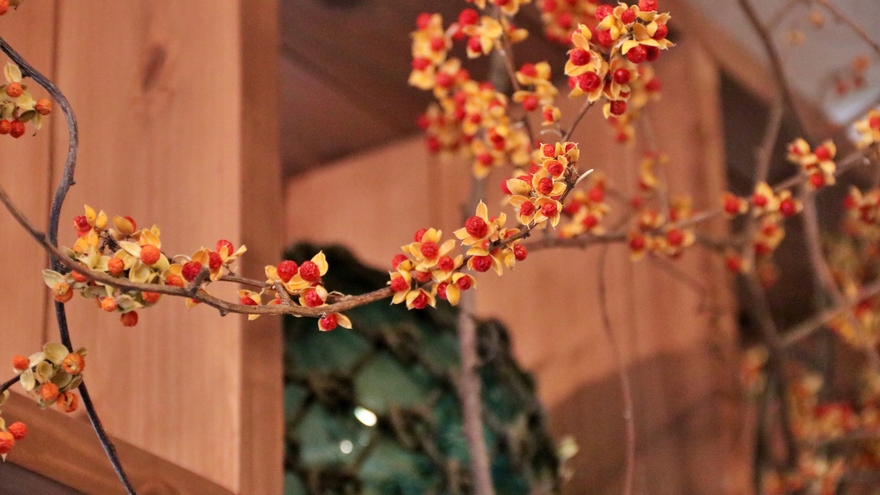 【素泊まり】美しい自然に囲まれた当館で徳島を満喫♪ビジネスやお遍路さん大歓迎！