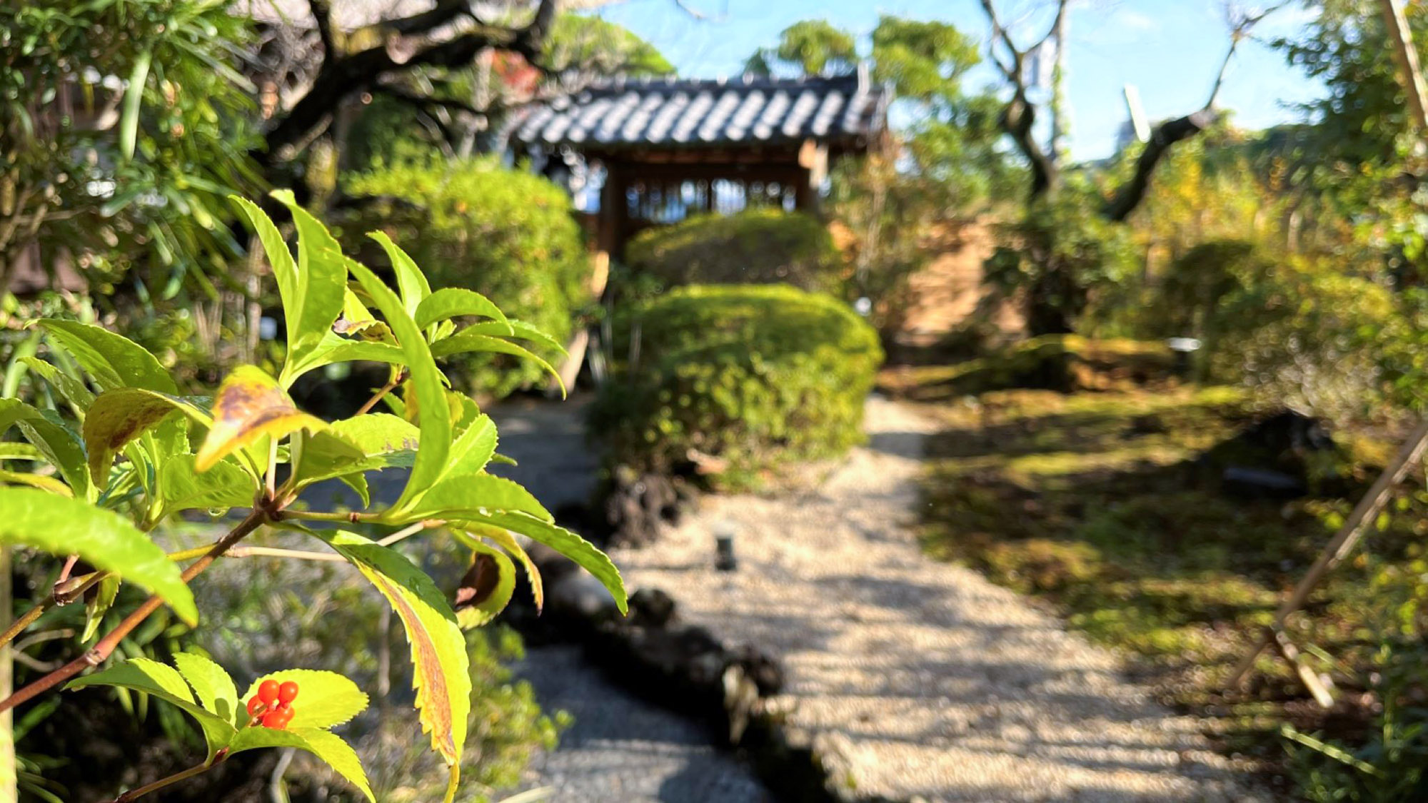 ・【庭園】中庭をのんびりお散歩しませんか