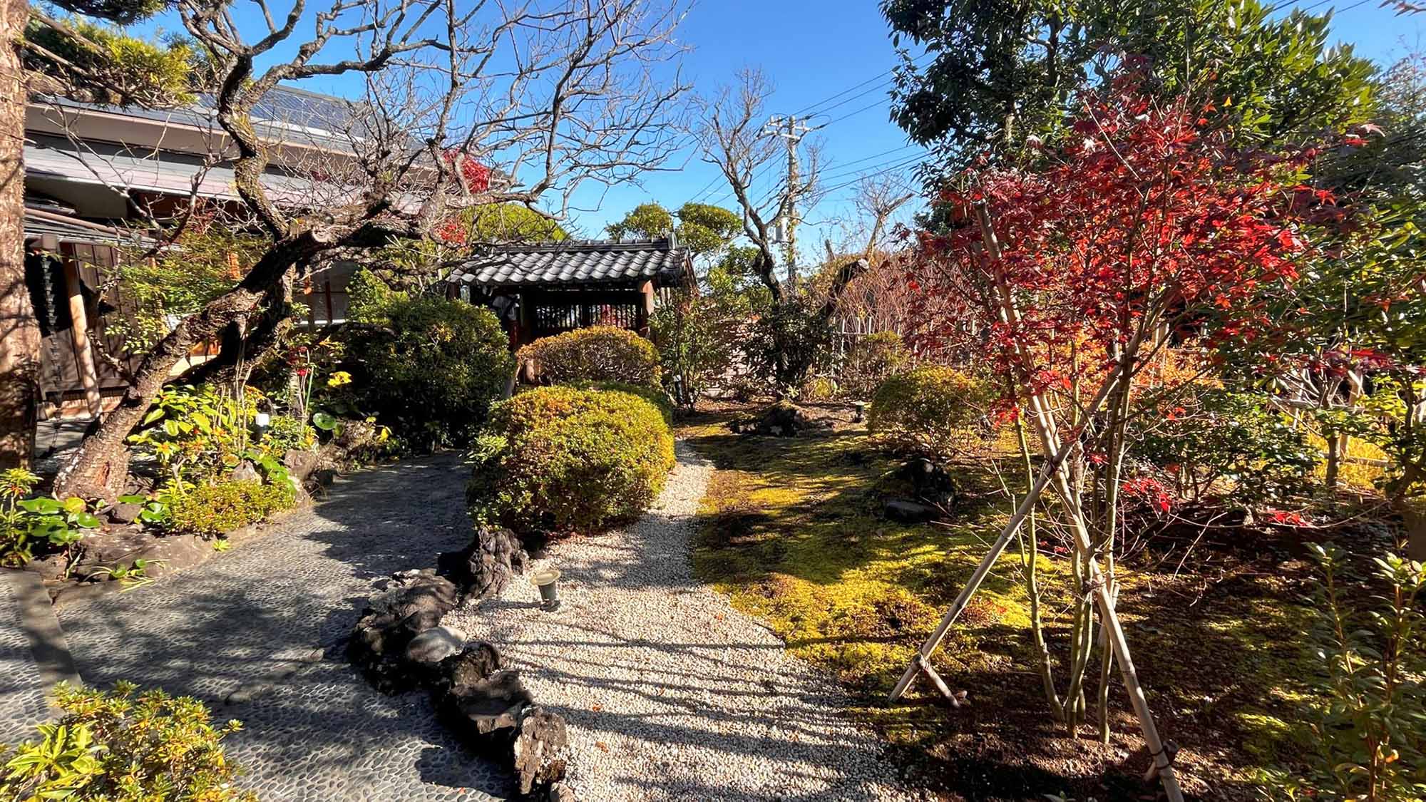 ・【庭園】四季折々の姿を見せる庭園。木々の香りや色をお楽しみください