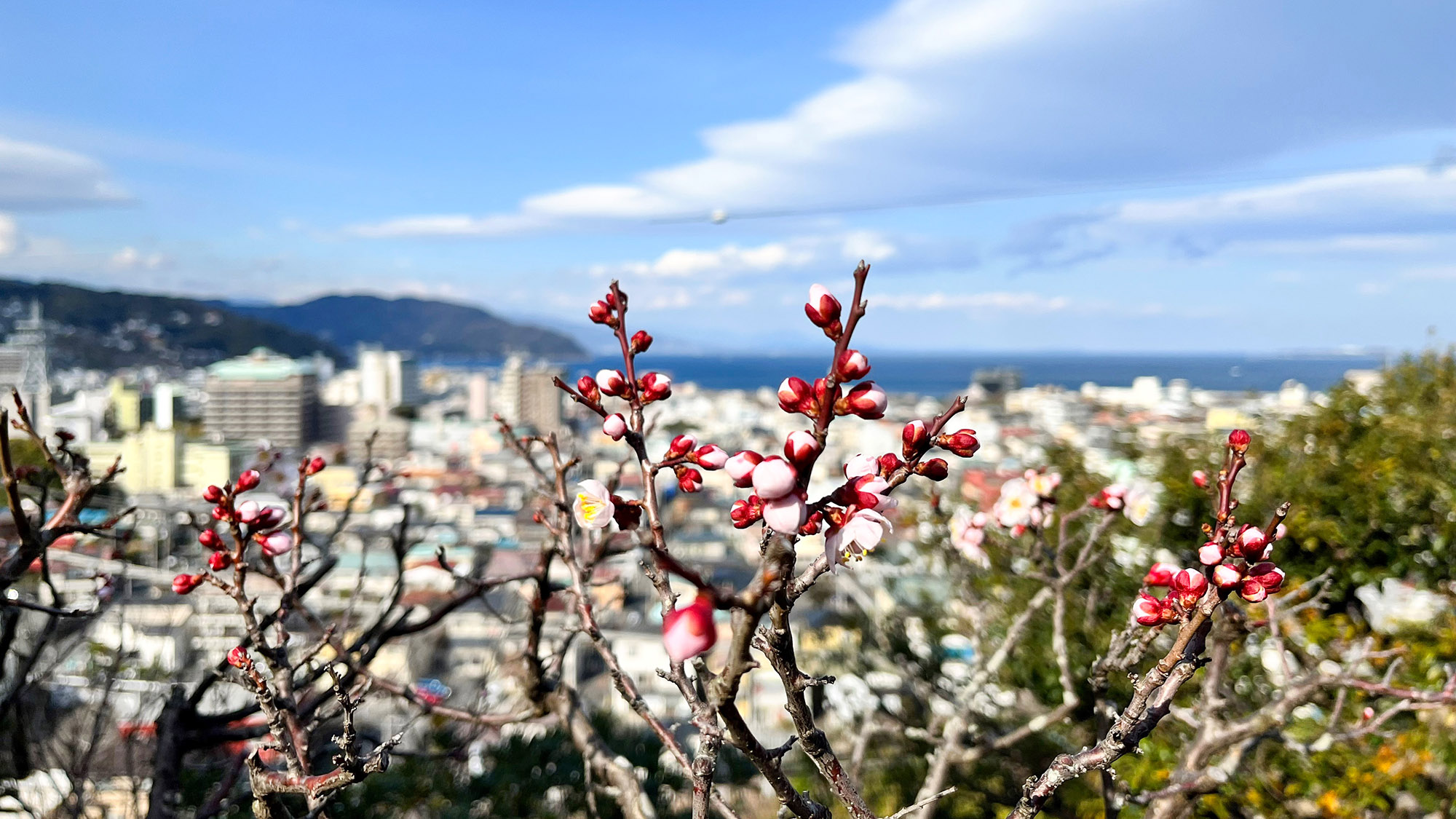 ・【眺望】眺望に恵まれた場所に位置する当施設。建物の影がみえない明るい景色をお楽しみ頂けます