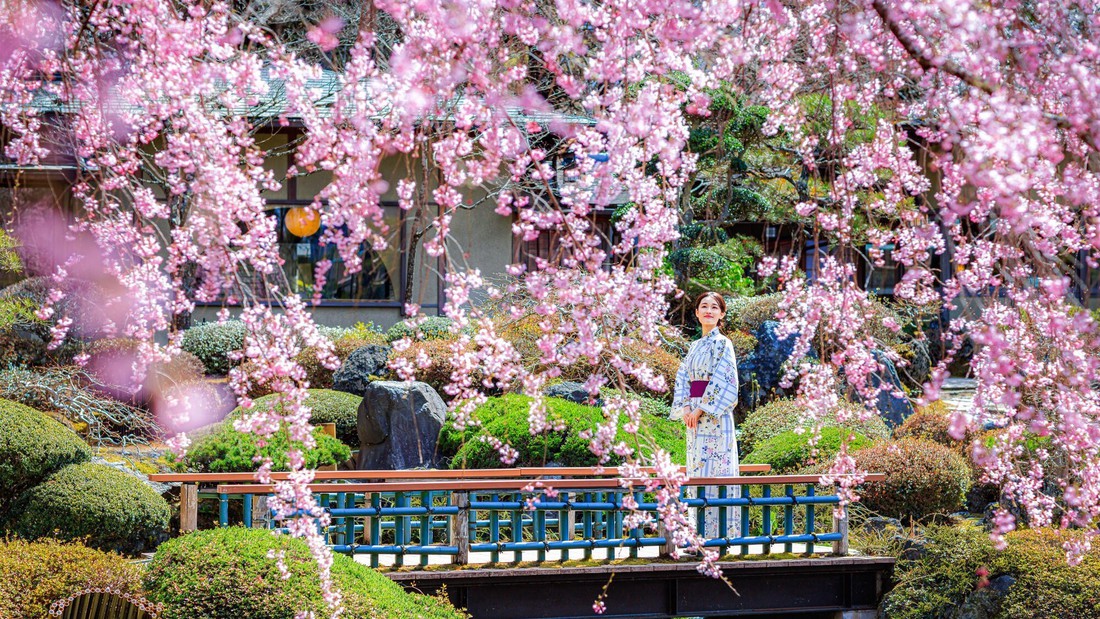 【4月9日〜15日限定】鐘山苑・桜まつり☆日本の春を楽しむ宿泊プラン（ナイトラウンジ＆色浴衣付）