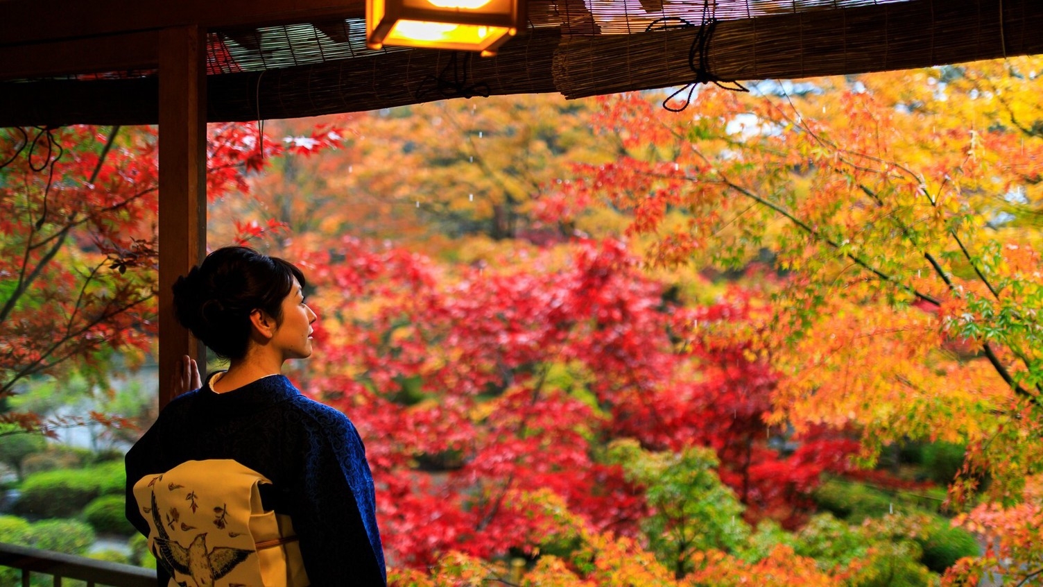 【10月25日〜11月15日】鐘山苑・紅葉まつり！日本の秋を楽しむプラン（ナイトラウンジ＆色浴衣付）