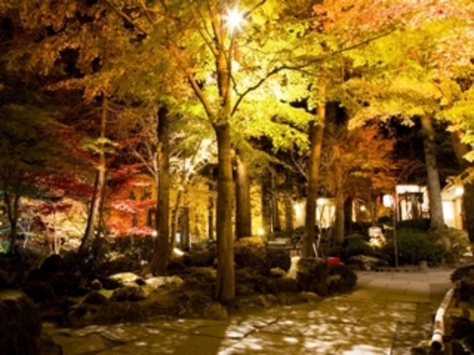秋の庭園風景「茶室・清流庵周辺」（紅葉は１０月下旬〜１１月中旬頃）