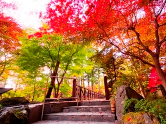 秋の庭園風景「奥庭桂橋周辺」（紅葉は１０月下旬〜１１月中旬頃）