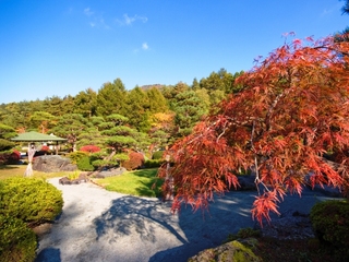 秋の庭園風景（紅葉は１０月下旬〜１１月中旬頃）
