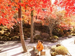 秋の庭園風景「奥庭」（紅葉は１０月下旬〜１１月中旬頃）