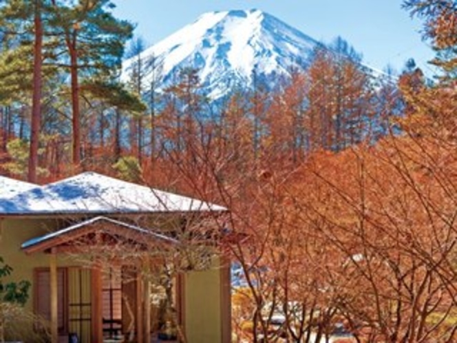 冬の庭園風景「奥庭から望む富士山」