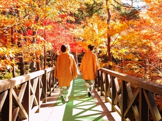 秋の庭園風景「桂橋を渡って奥庭へ」（紅葉は１０月下旬〜１１月中旬頃）