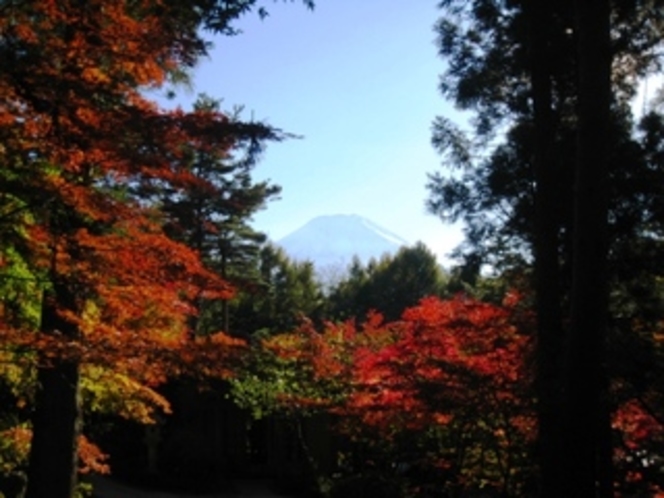 庭園から望む富士山（秋）