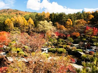 秋の庭園風景「見渡す限りの紅葉」（紅葉は１０月下旬〜１１月中旬頃）