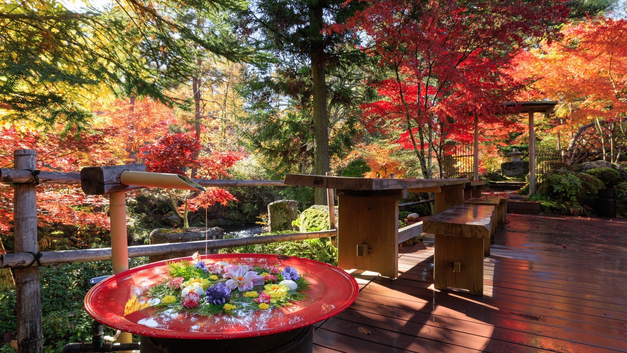 【秋】色あざやかな絹織物のような紅葉のとき