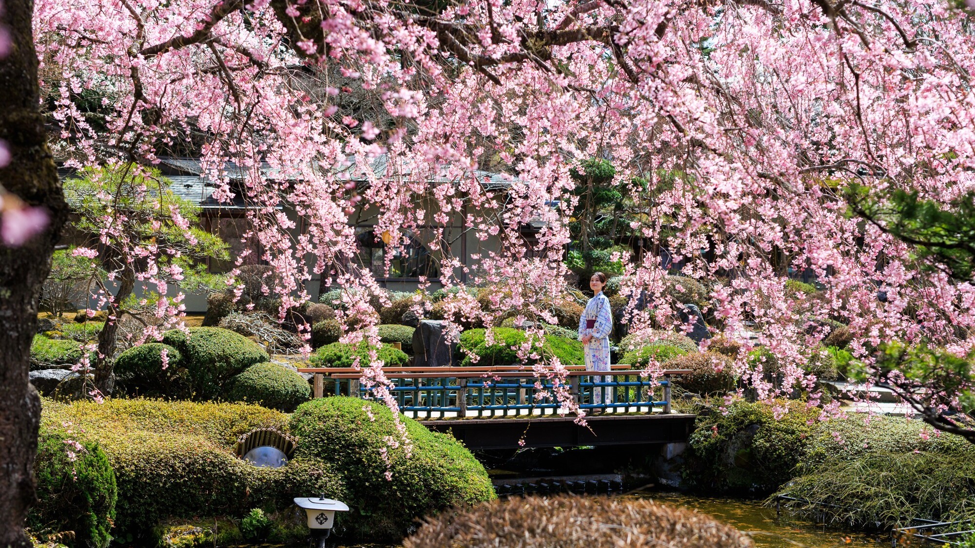 【春】芽吹き花ひらく爛漫の春絵巻