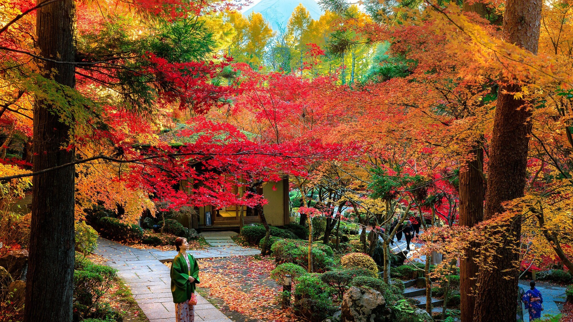 【秋】色あざやかな絹織物のような紅葉のとき