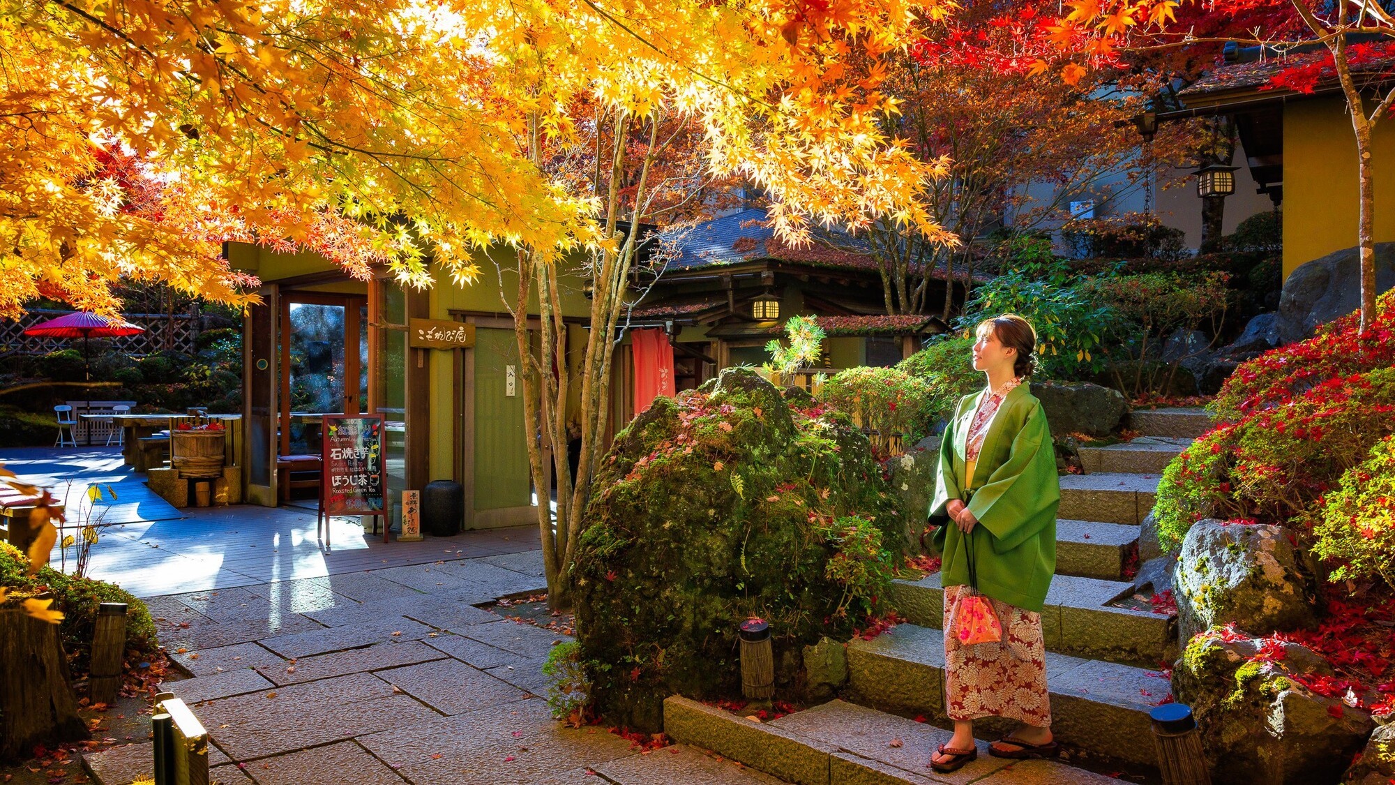 【秋】色あざやかな絹織物のような紅葉のとき
