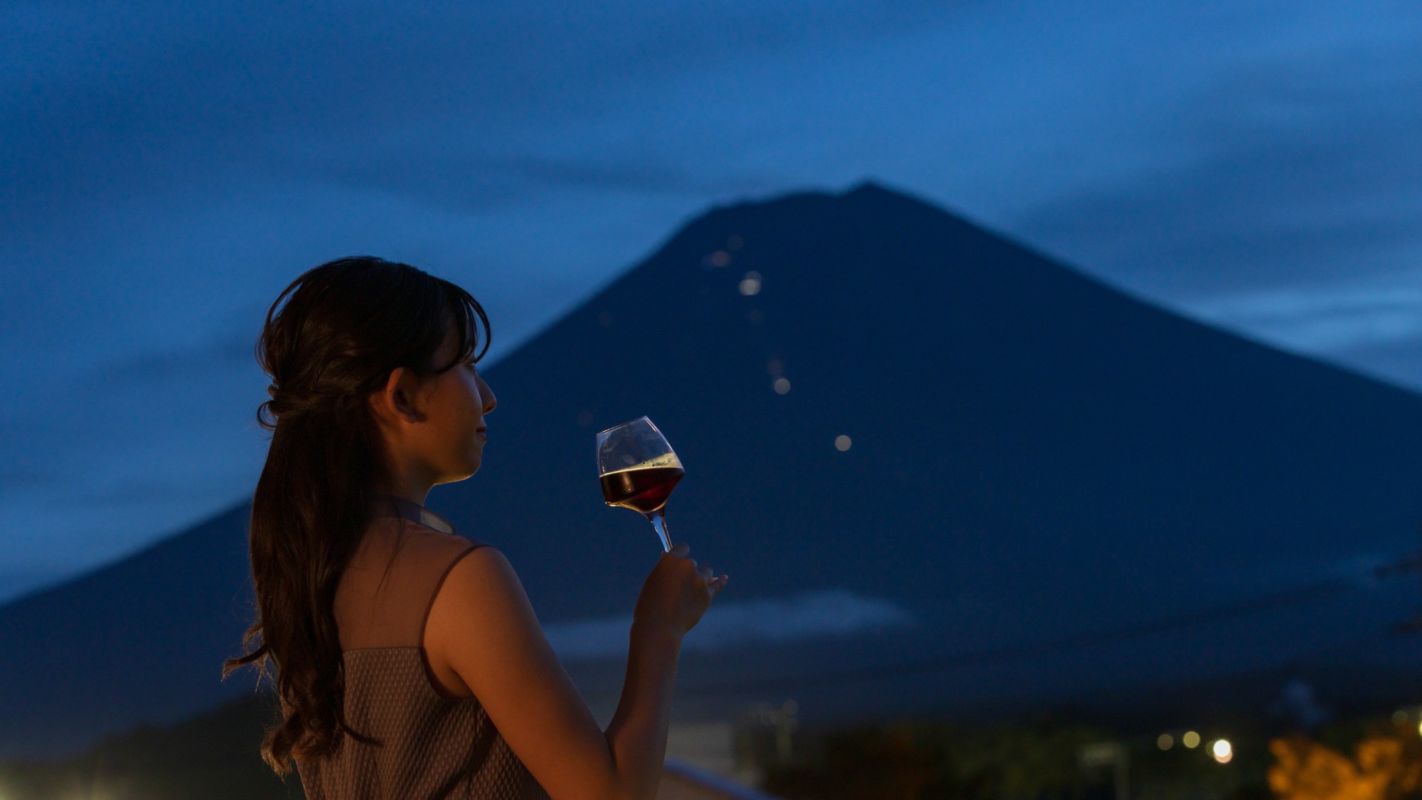 山梨ワインラウンジ／富士山と向かい合い山梨ワインを味わう（有料オプション）