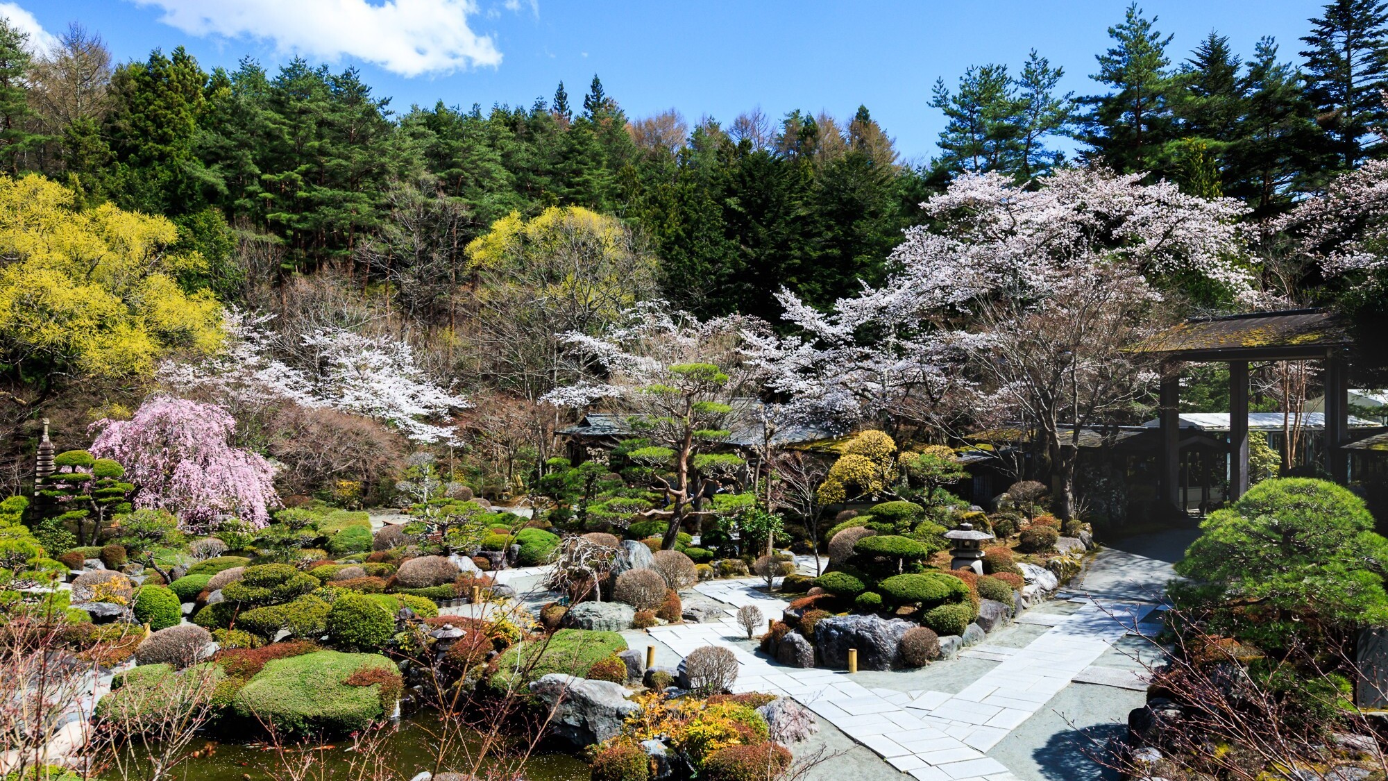 【春】芽吹き花ひらく爛漫の春絵巻