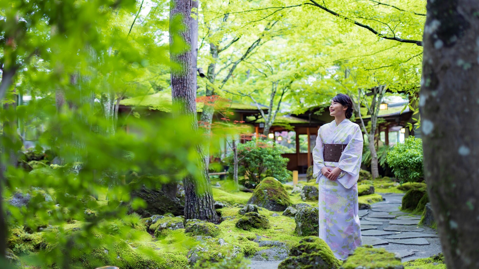 【夏】深い緑の森に一陣の風が吹きすぎます