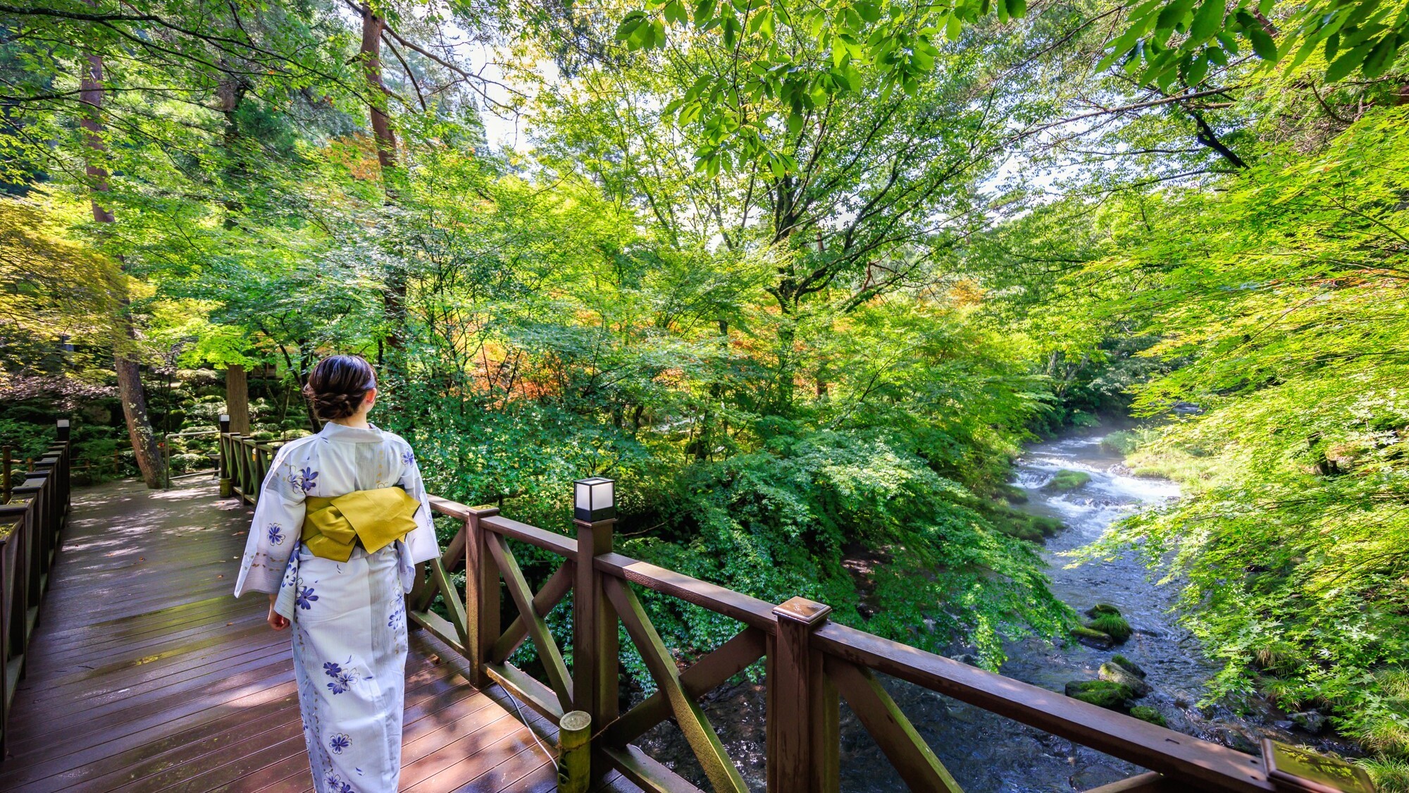 【夏】清流「桂川」のせせらぎに涼を感じる