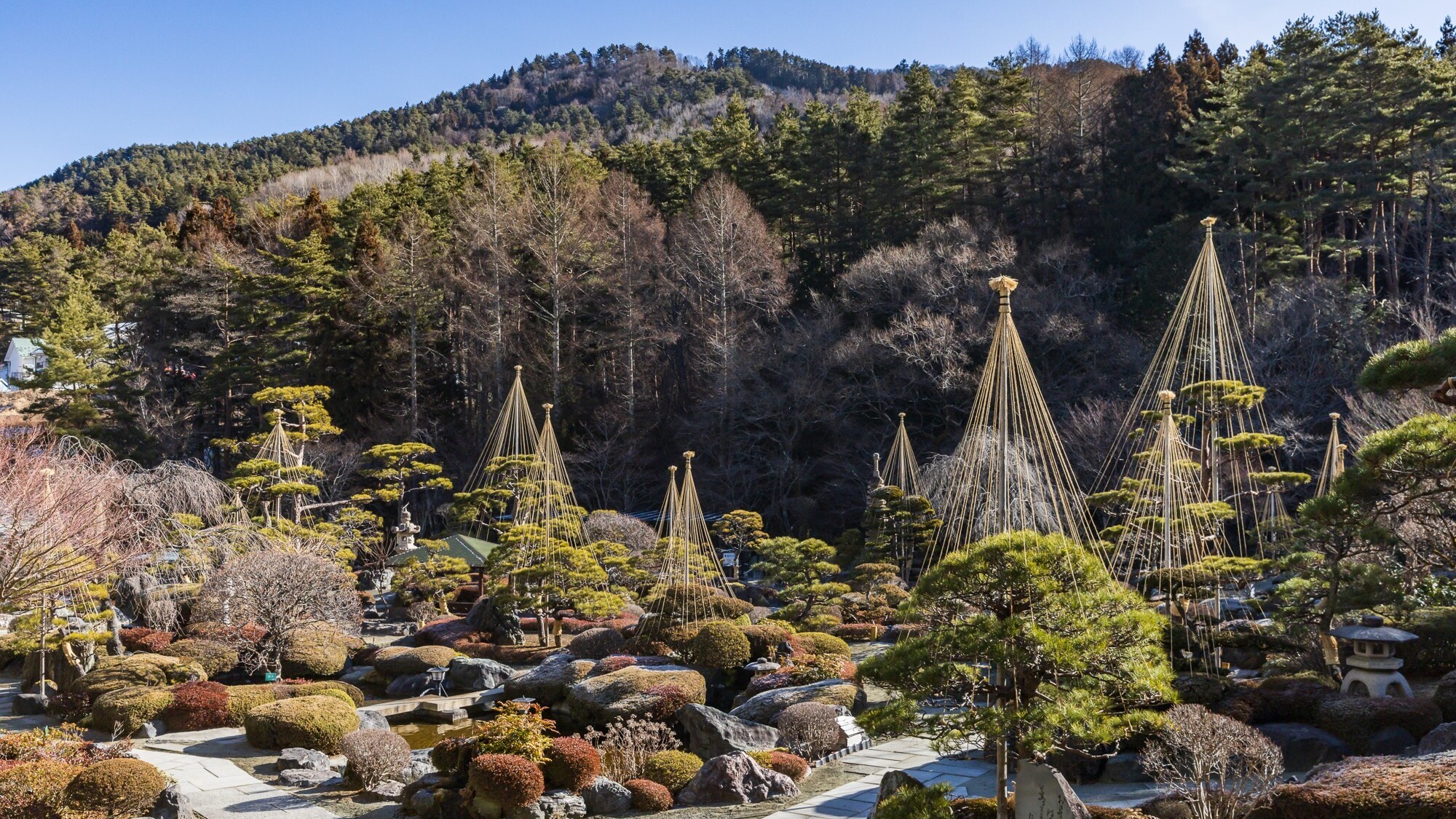 【冬】静寂に満ちた庭園