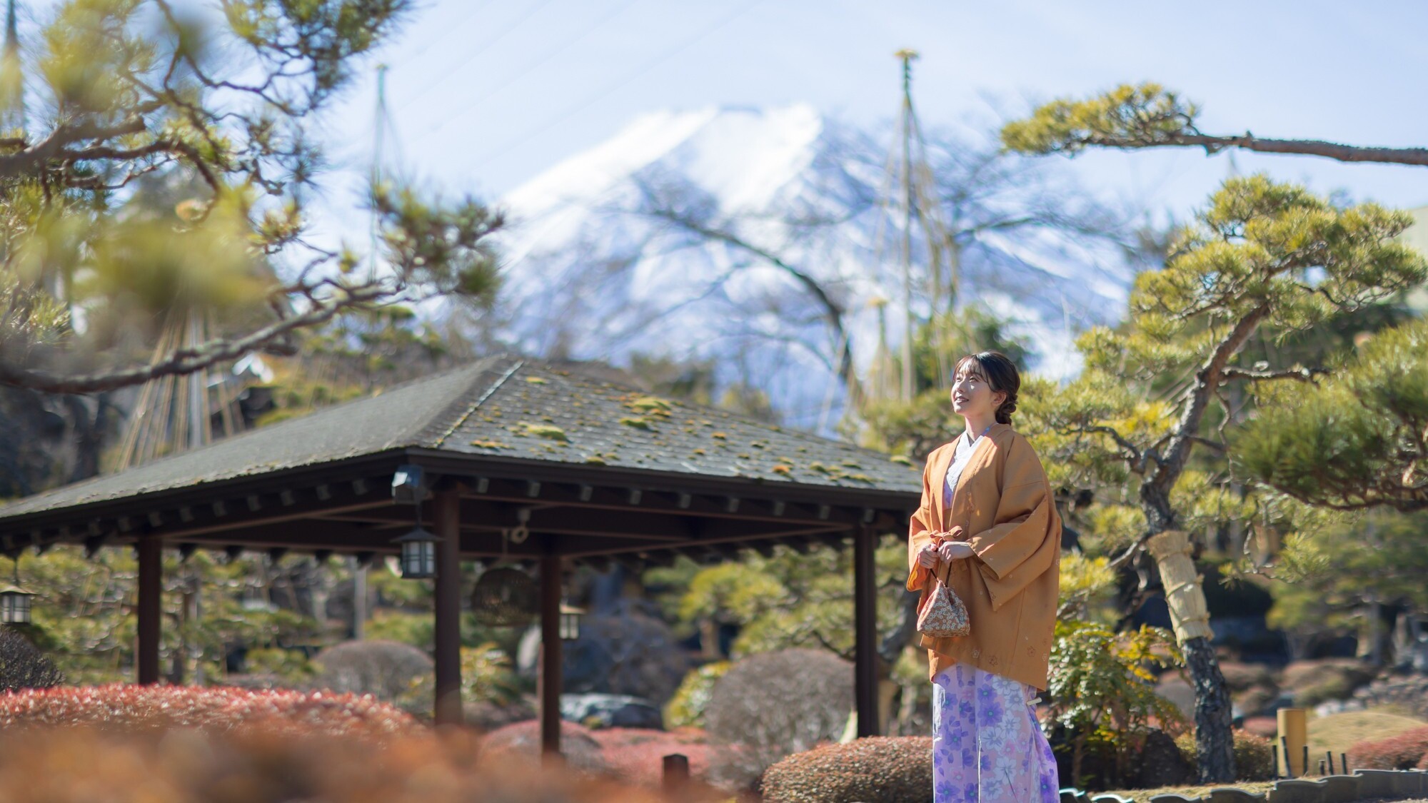 【冬】静寂に満ちた庭園