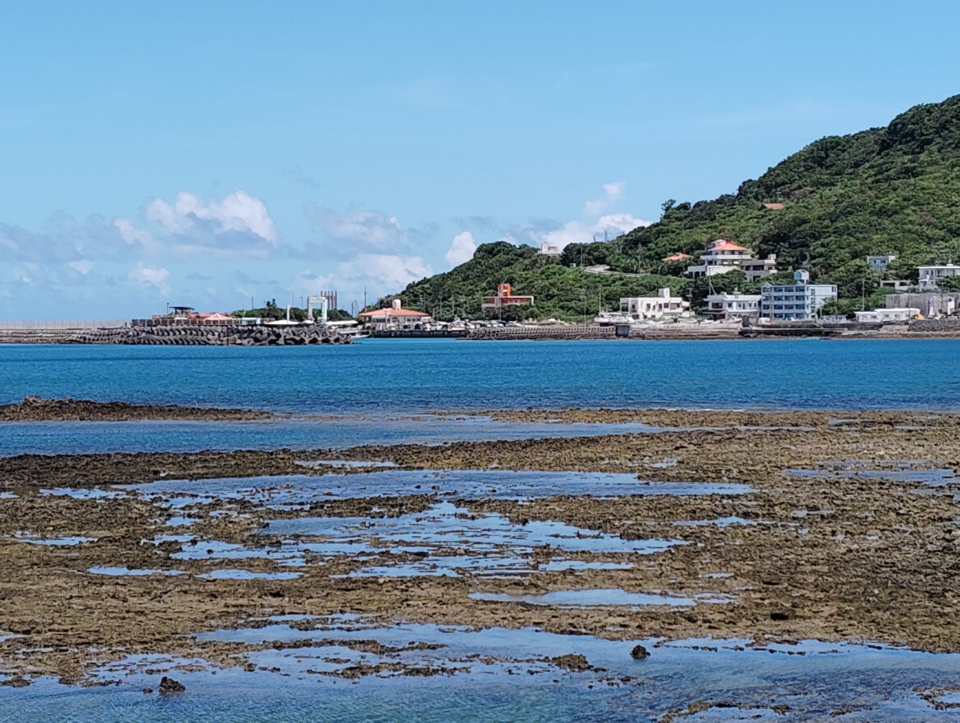 前の海の岩礁（潮だまりにルリスズメダイがいます）