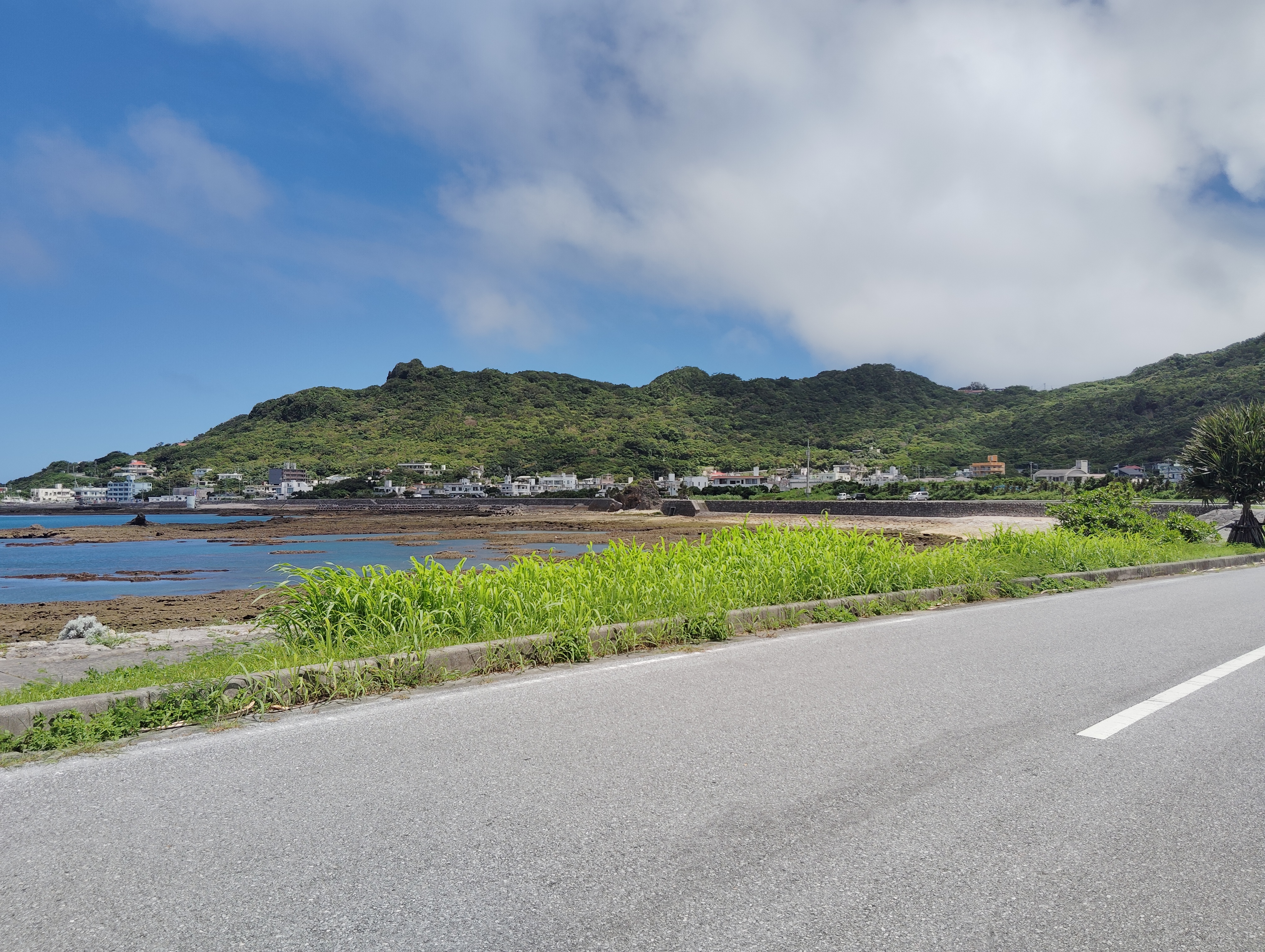 近くの散歩道