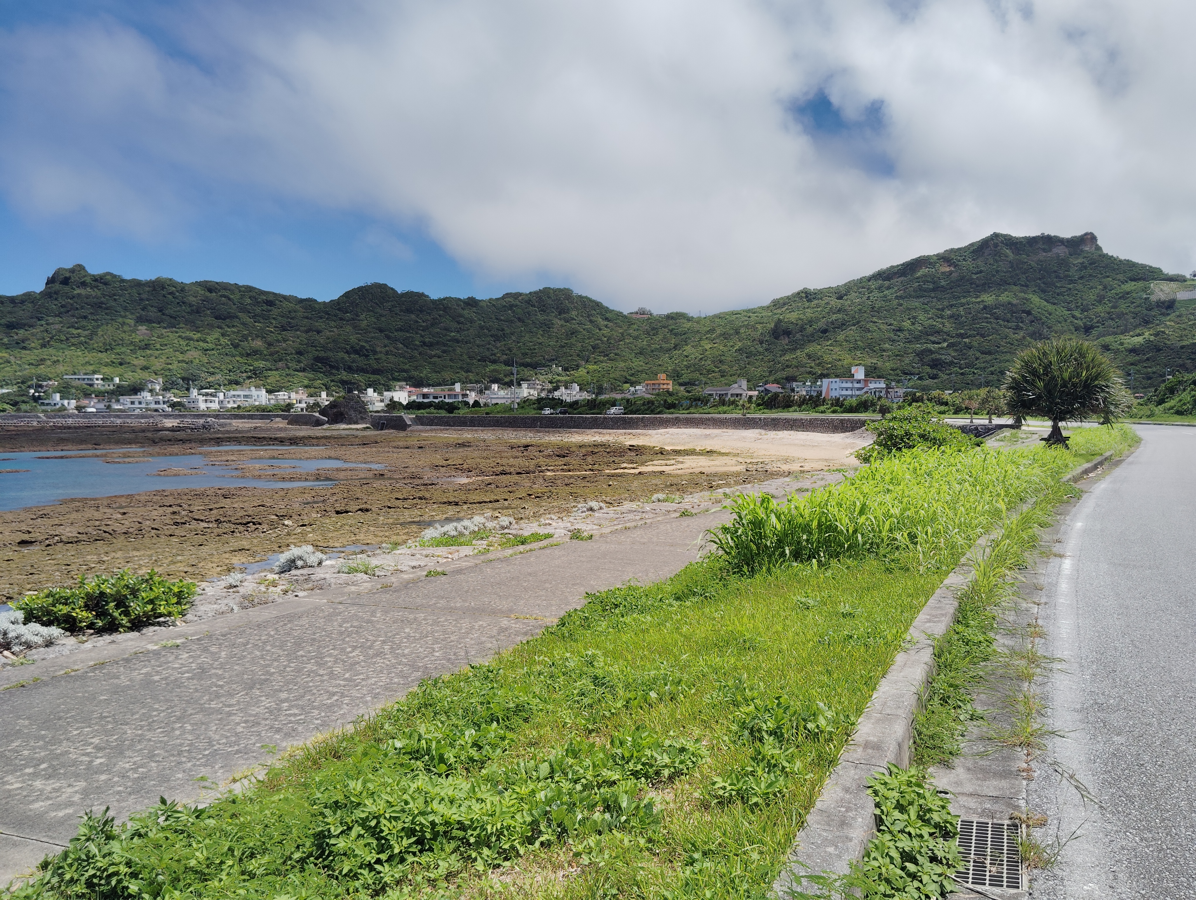 遊歩道から望む南の丘陵はセーファ御嶽の側面にあたる