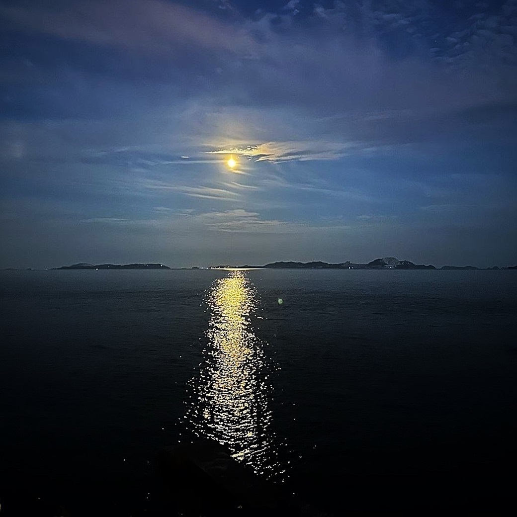 【ライトプラン】素泊まりのお手軽プラン（食事なし）