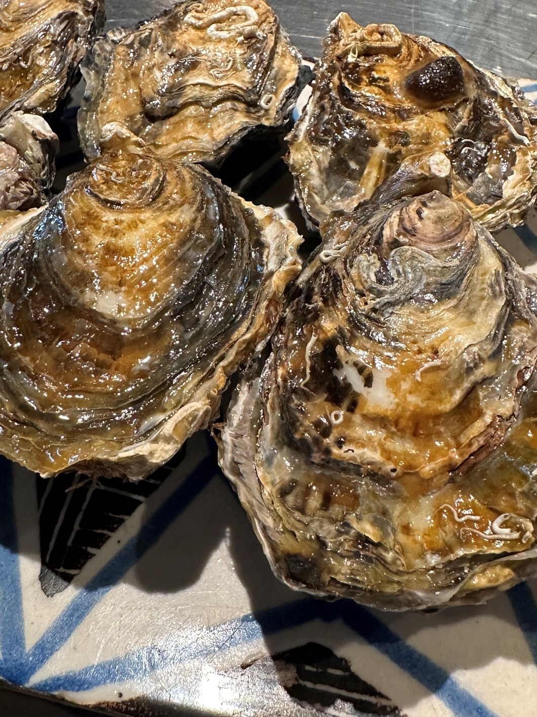 期間限定！今が旬！！ディナーは坂越産の牡蛎づくしプラン（夕・朝食付きプラン）