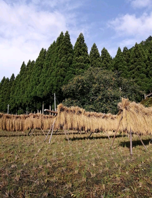 【築２６０年の古民家田舎暮らし】夕食／囲炉裏体験プラン（朝食付き）
