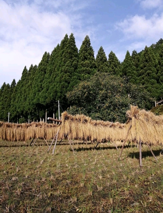 【築２６０年の古民家田舎暮らし】夕食／囲炉裏体験プラン（朝食付き）