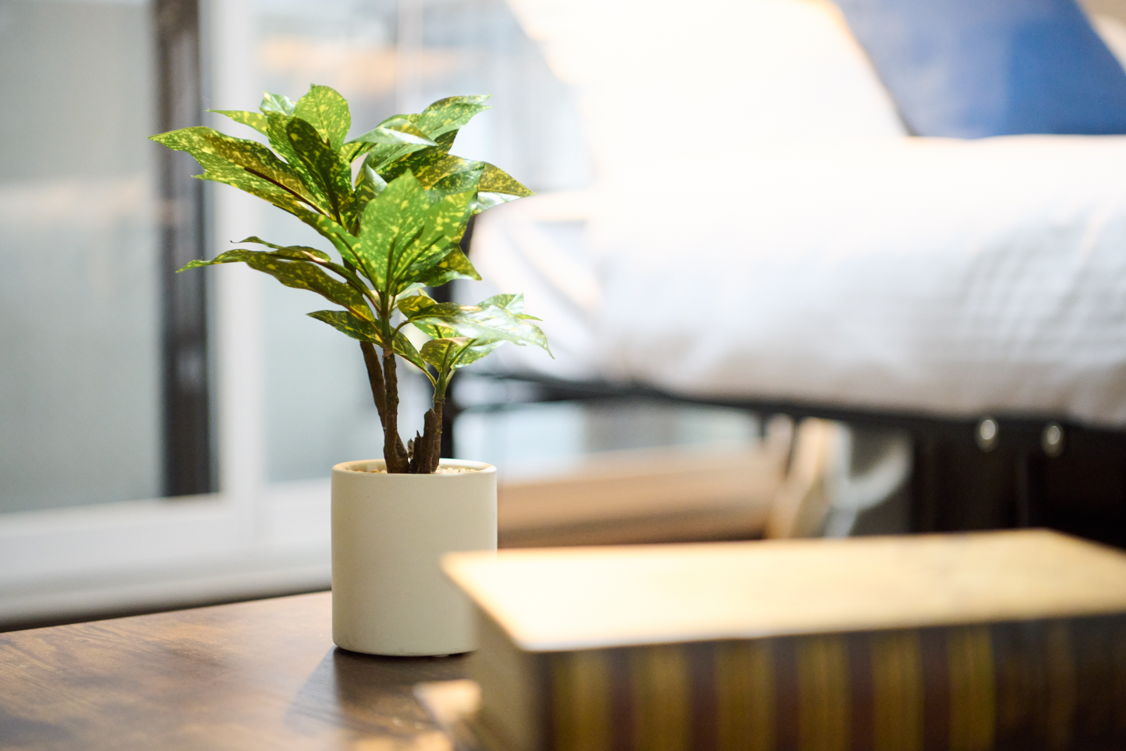 スーペリアツインルーム