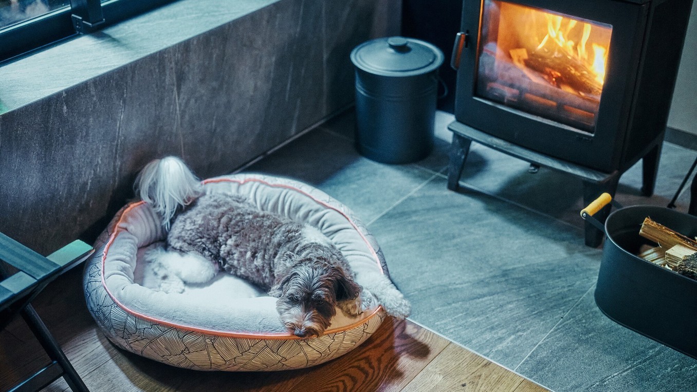 【3連泊で1泊無料・愛犬と叶える森のリトリートステイ】＜朝食付＞温泉と自然に癒される休日