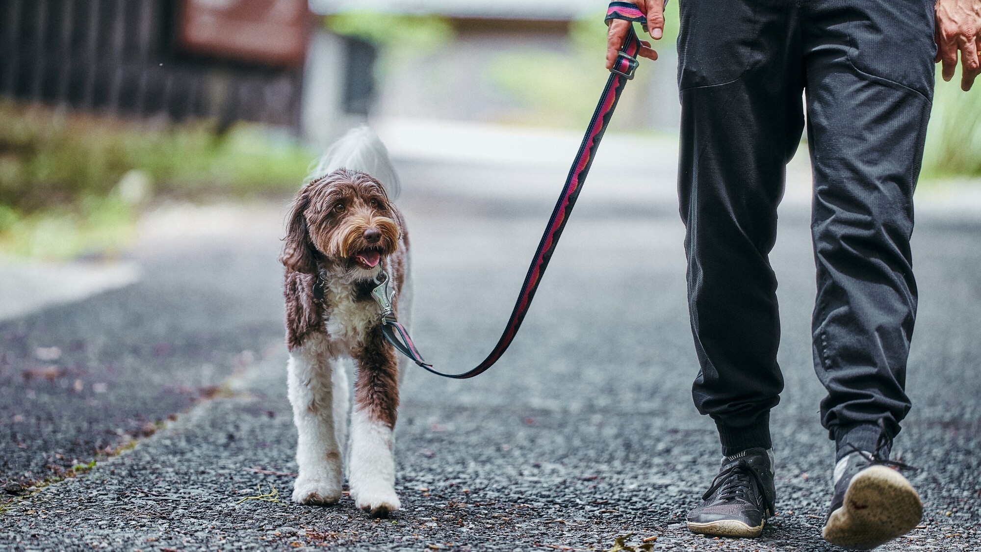 【滞在イメージ】ペットフレンドリールーム