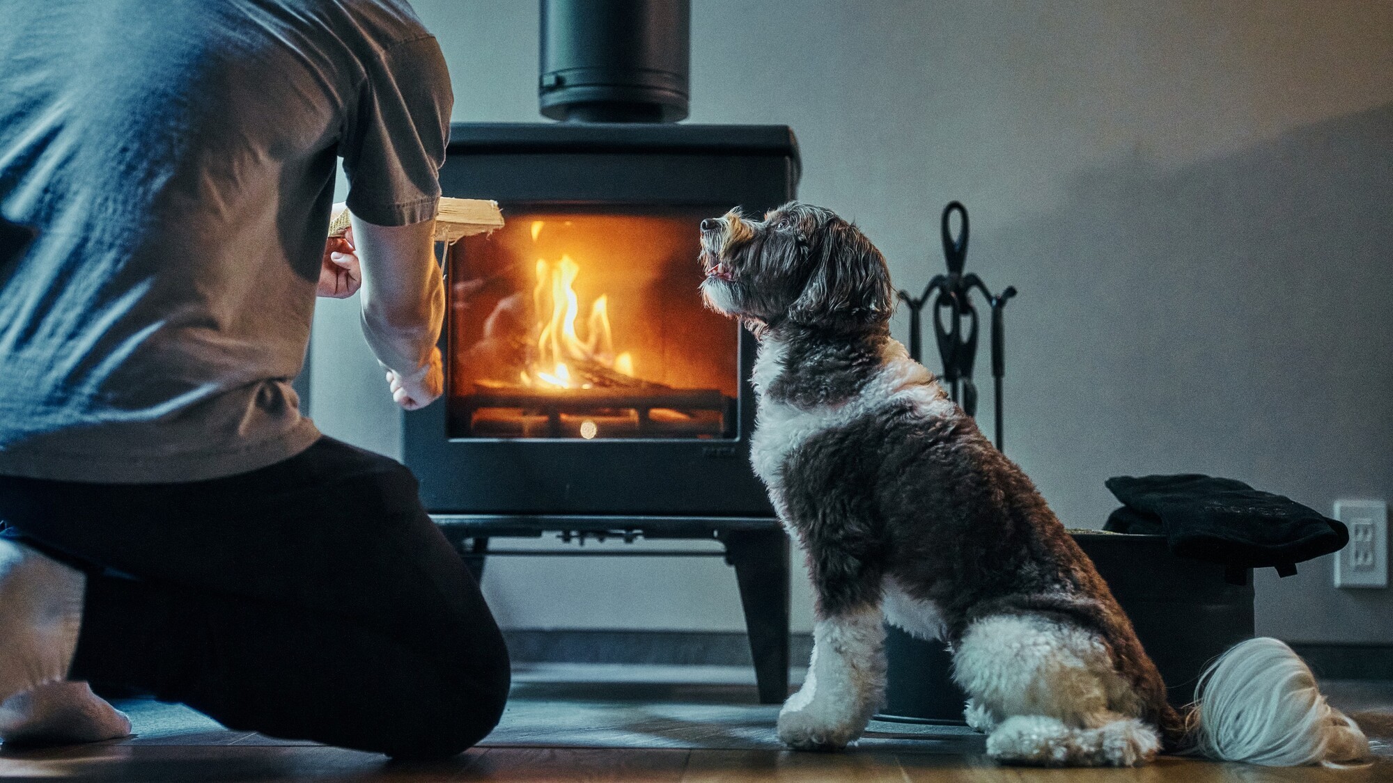【滞在イメージ】ペットフレンドリールーム