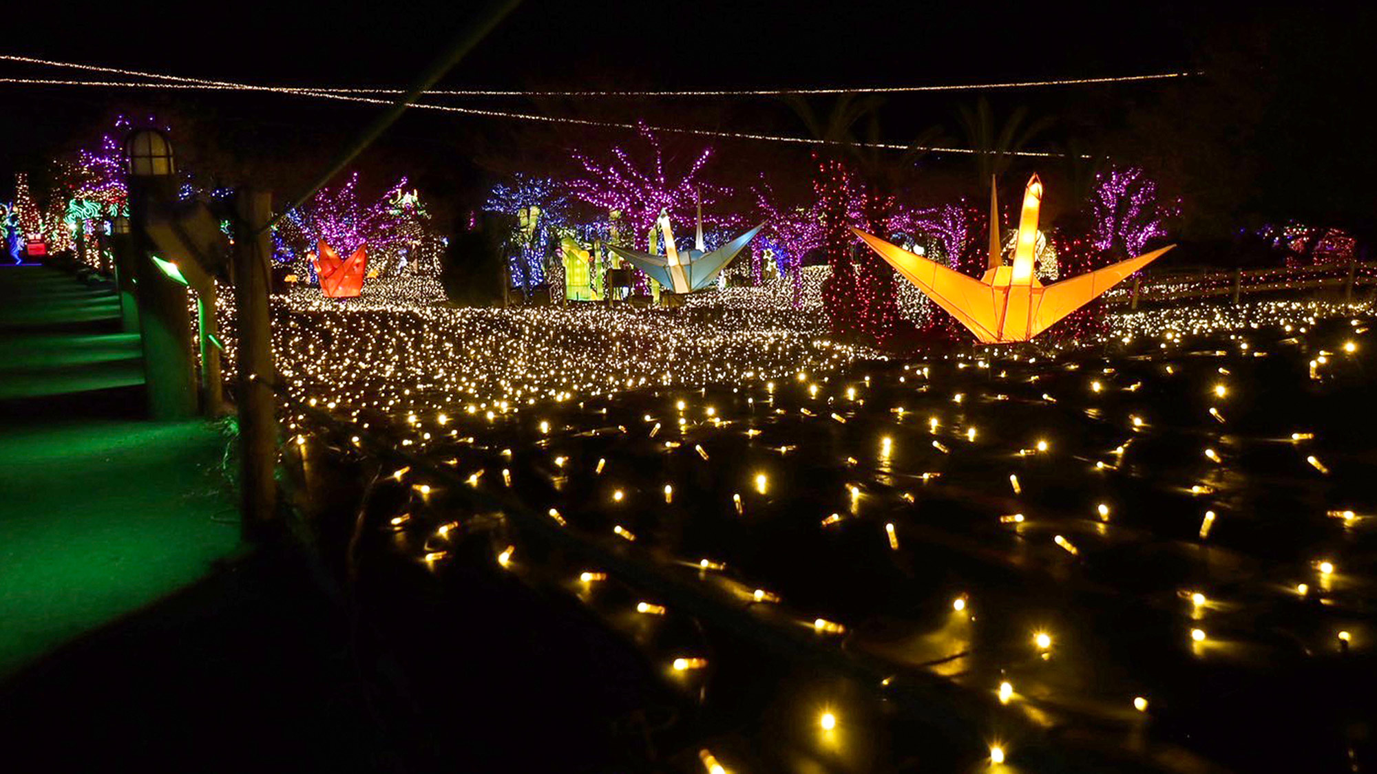 ・【伊豆高原グランイルミ 】シーズン毎に違う世界観が。躍動する光の演出と壮大なスケールが魅力です