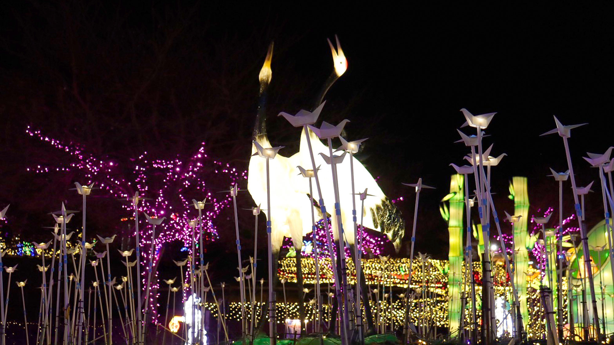 ・【伊豆高原グランイルミ 】進化をし続ける新たなストーリーは地上絵のような輝く光景です