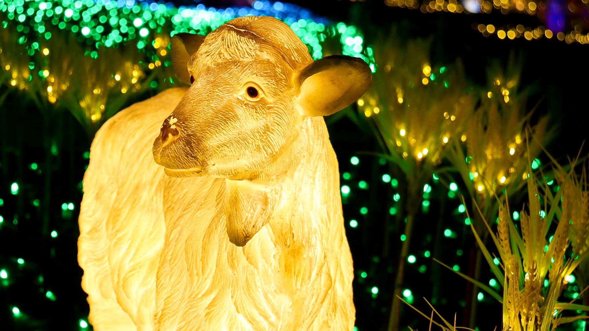 ・【伊豆高原グランイルミ 】歩くほどに広がる光景に思わず息をのむ時間