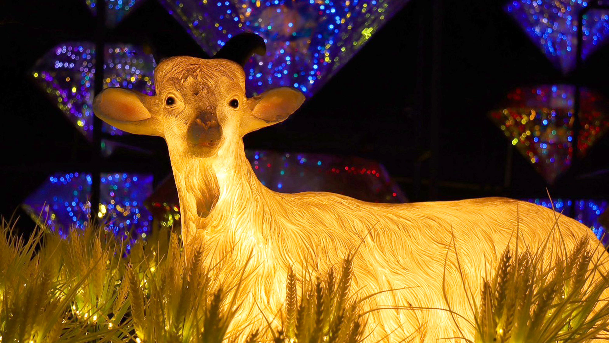 ・【伊豆高原グランイルミ 】旅の夜を壮大に彩る幻想的なテーマパークです