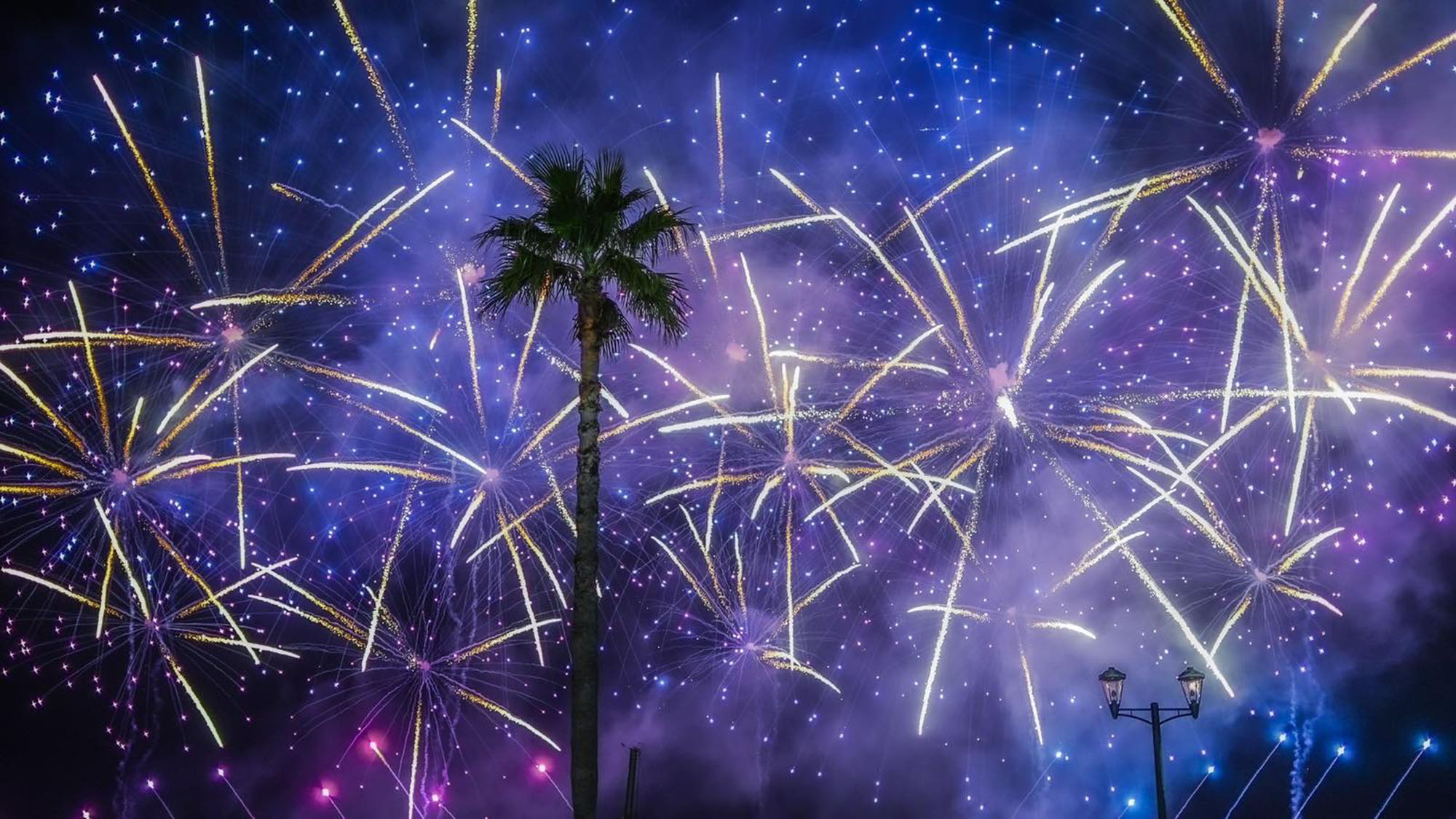 ・【花火大会】夏の夜空に打ちあがる大輪の花を、大切な人と眺めるひと時をお楽しみください