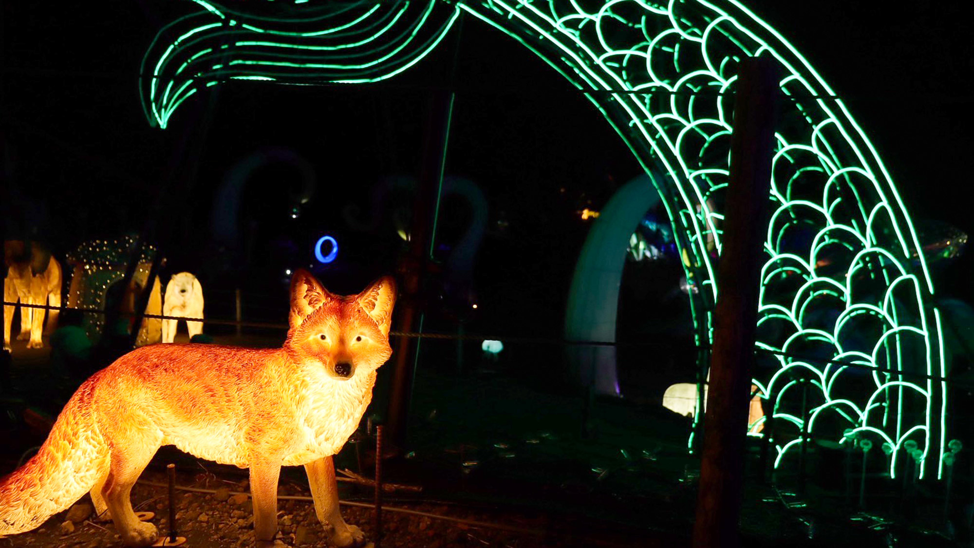 ・【伊豆高原グランイルミ 】夜空に広がる色とりどりの光が奏でるファンタジーの世界へ
