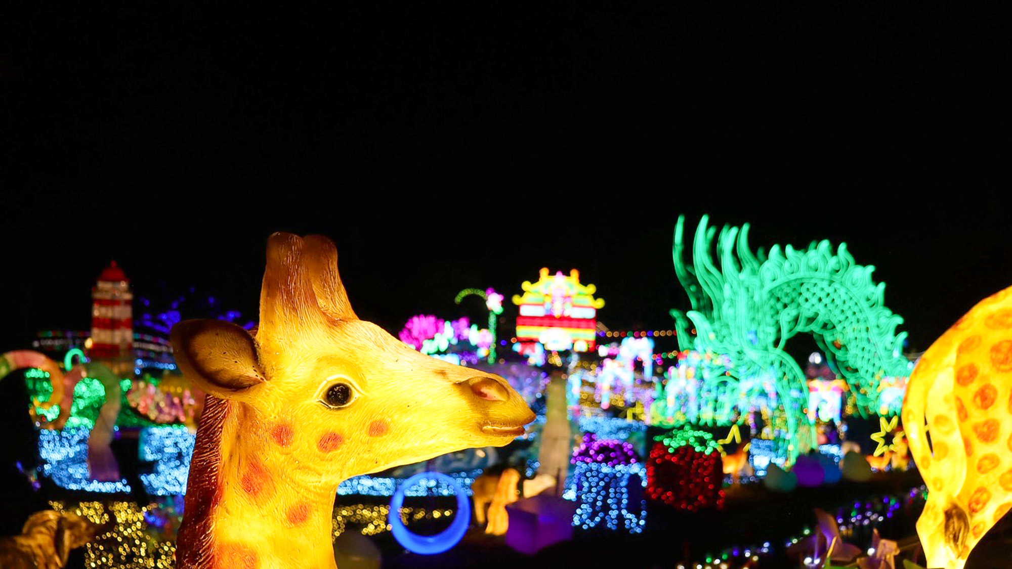 ・【伊豆高原グランイルミ 】圧巻のスケールで広がる幻想的でロマンチックなひとときを