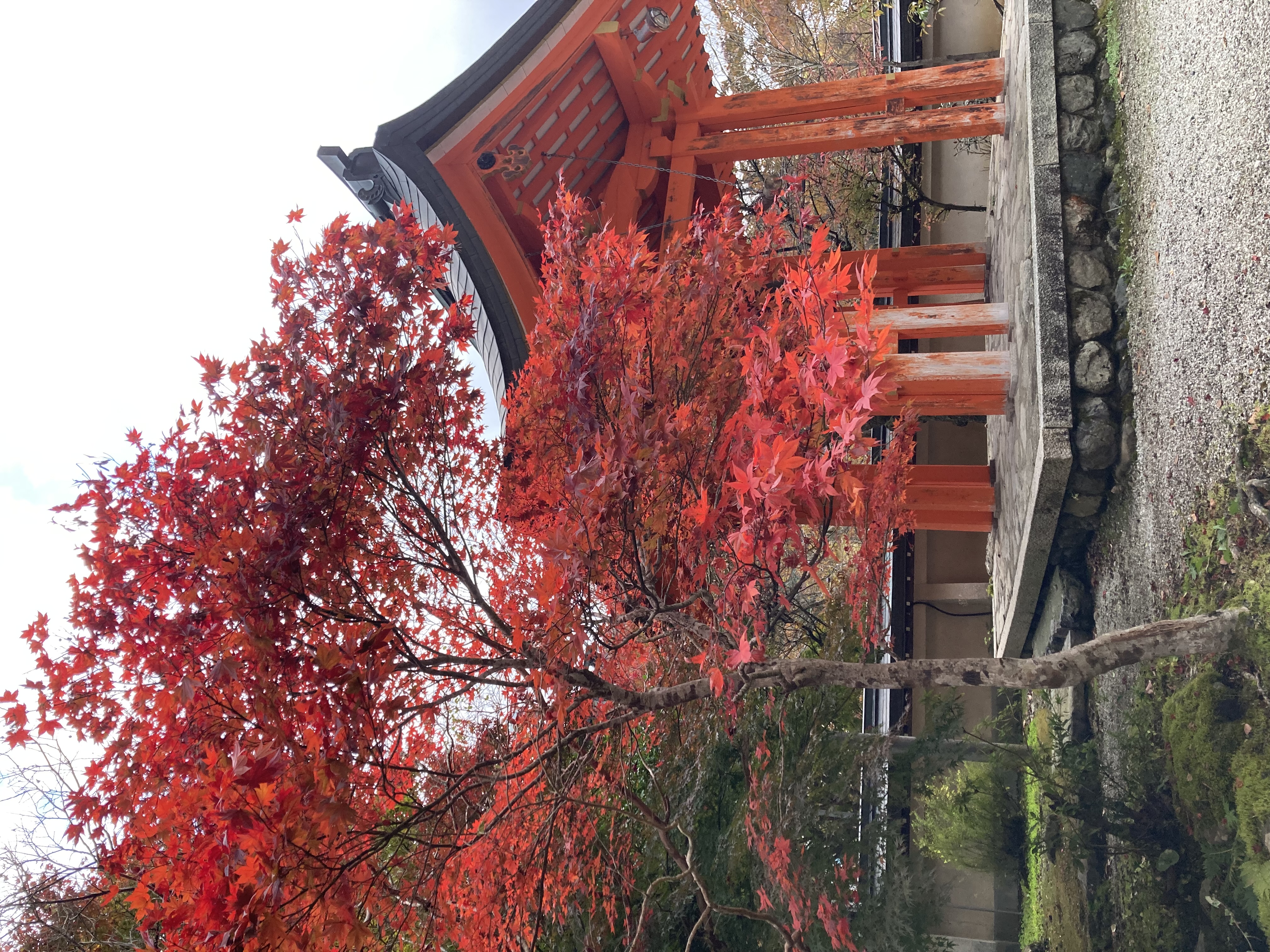 龍泉寺（紅葉）