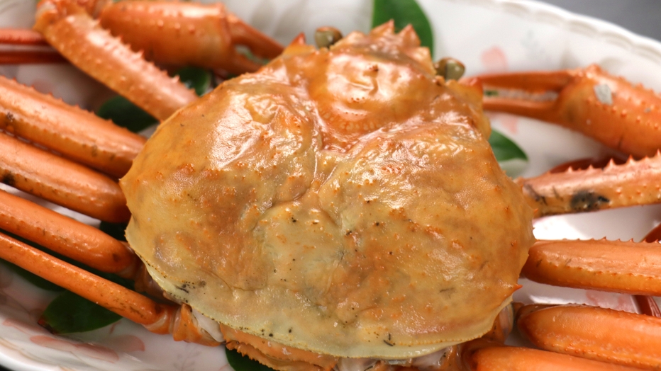 【香住名物】紅ガニ丸ごと1杯×但馬牛ステーキ！海と山のごちそうプラン
